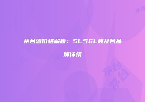 茅台酒价格解析：5L与6L装及各品牌详情