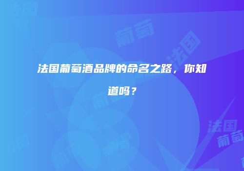 法国葡萄酒品牌的命名之路，你知道吗？