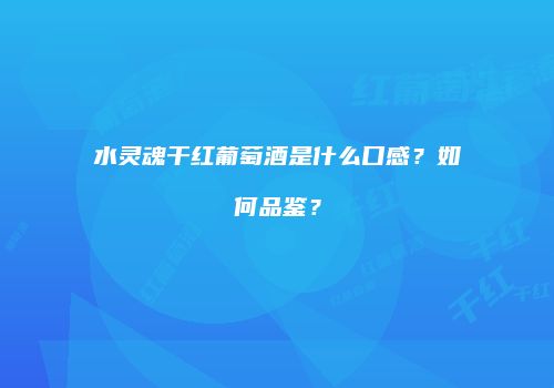 水灵魂干红葡萄酒是什么口感？如何品鉴？