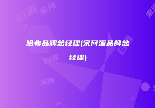 哈弗品牌总经理(宋河酒品牌总经理)