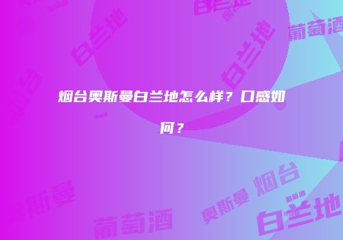 烟台奥斯曼白兰地怎么样？口感如何？