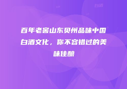 百年老窖山东贝州品味中国白酒文化，你不容错过的美味佳酿